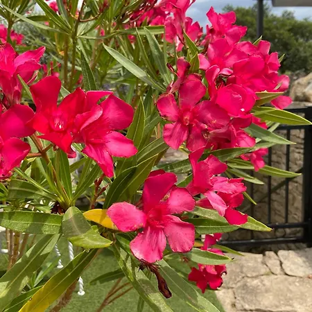 Bed & Breakfast D'hotes Chez Maguy B-villa Makeire Gordes